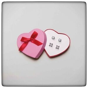 Stainless Steel Valentine's Two-Pair Earring Pack-OS